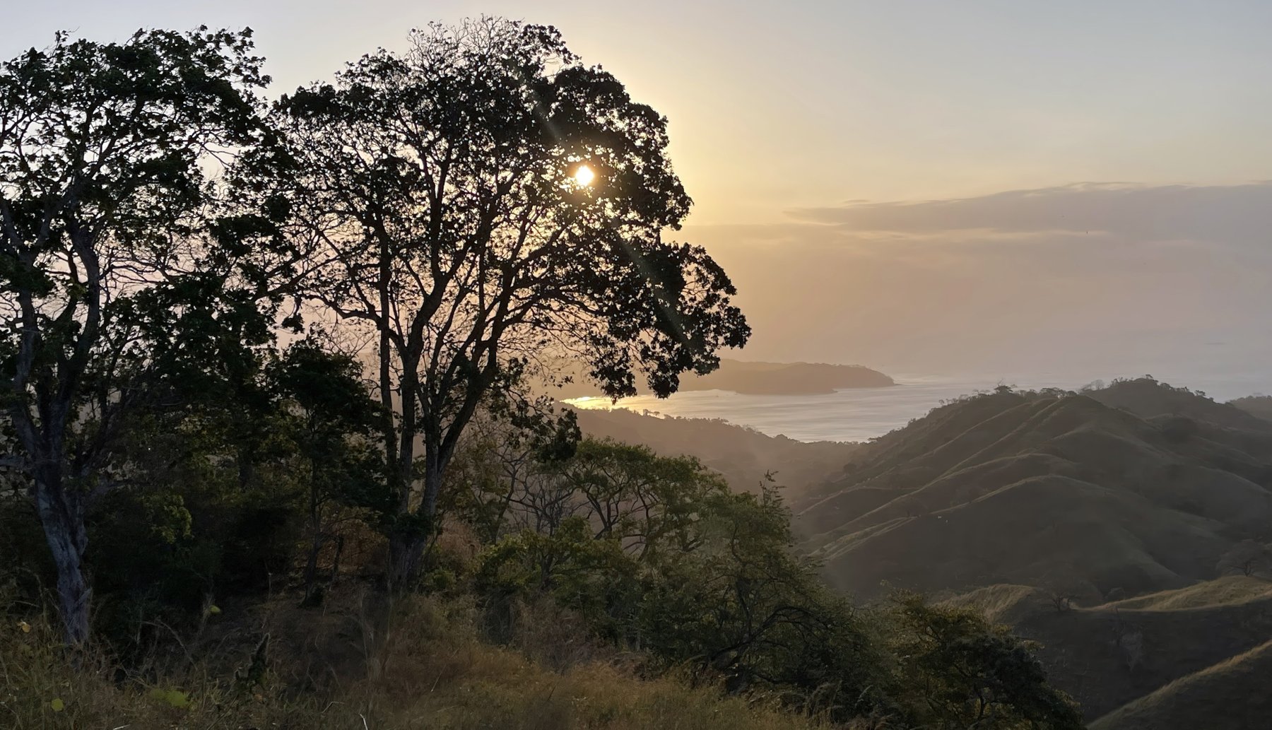Selva — planning architecture, Playa Venao, Panama